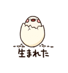 ぶんぶんどり（個別スタンプ：34）