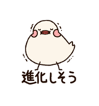 ぶんぶんどり（個別スタンプ：37）