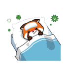 Kurimo: Red Panda (Lesser Panda)（個別スタンプ：39）