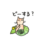 無難な猫さんスタンプ10（個別スタンプ：5）