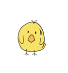 ヒヨコの助蔵(すけぞう)（個別スタンプ：20）