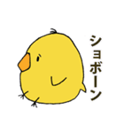 ヒヨコの助蔵(すけぞう)（個別スタンプ：28）
