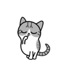 Little cotton candy cat（個別スタンプ：10）