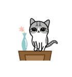 Little cotton candy cat（個別スタンプ：13）