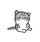 Little cotton candy cat（個別スタンプ：22）