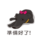 Little Blacky（個別スタンプ：39）