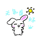 Bunny cat（個別スタンプ：30）