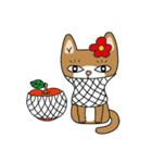 Sunny Kitty Wigs ！（個別スタンプ：31）