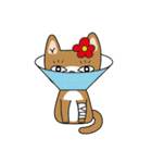 Sunny Kitty Wigs ！（個別スタンプ：32）