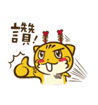 Chiayi235(Tiger ＆ Cat)（個別スタンプ：8）