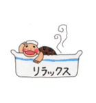 リクガメのカメ吉さん（個別スタンプ：8）