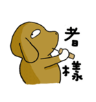 Chubby Beagle（個別スタンプ：13）