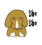 Chubby Beagle（個別スタンプ：40）