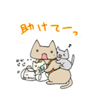 ベビねこ（個別スタンプ：19）