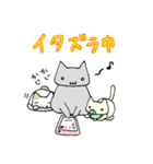 ベビねこ（個別スタンプ：20）