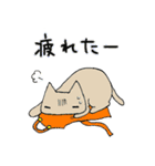 ベビねこ（個別スタンプ：23）