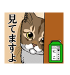 にゃんこ学園(PART3)（個別スタンプ：13）