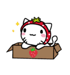 のんほいイチゴにゃん（個別スタンプ：11）