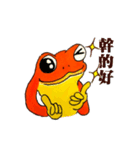 Frog from the north（個別スタンプ：25）