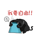 Funny cat's daily life.（個別スタンプ：5）