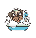 Love Pug World（個別スタンプ：27）