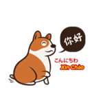 Corgi NANA Multilingual（個別スタンプ：1）