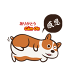 Corgi NANA Multilingual（個別スタンプ：2）