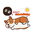 Corgi NANA Multilingual（個別スタンプ：3）