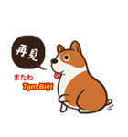 Corgi NANA Multilingual（個別スタンプ：4）