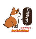 Corgi NANA Multilingual（個別スタンプ：5）