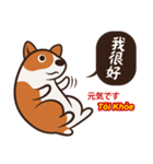 Corgi NANA Multilingual（個別スタンプ：6）