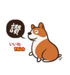 Corgi NANA Multilingual（個別スタンプ：8）