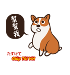 Corgi NANA Multilingual（個別スタンプ：10）