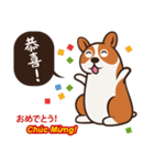 Corgi NANA Multilingual（個別スタンプ：12）