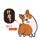 Corgi NANA Multilingual（個別スタンプ：14）