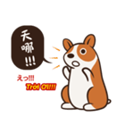 Corgi NANA Multilingual（個別スタンプ：16）