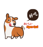 Corgi NANA Multilingual（個別スタンプ：23）