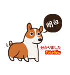 Corgi NANA Multilingual（個別スタンプ：27）