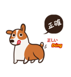 Corgi NANA Multilingual（個別スタンプ：31）