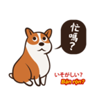 Corgi NANA Multilingual（個別スタンプ：35）