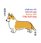 Long Tail Corgi (Multilingual)（個別スタンプ：3）