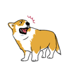 Long Tail Corgi (Multilingual)（個別スタンプ：5）