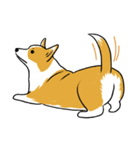 Long Tail Corgi (Multilingual)（個別スタンプ：6）