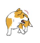 Long Tail Corgi (Multilingual)（個別スタンプ：9）