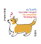 Long Tail Corgi (Multilingual)（個別スタンプ：12）