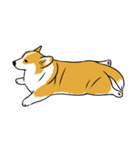 Long Tail Corgi (Multilingual)（個別スタンプ：14）