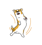 Long Tail Corgi (Multilingual)（個別スタンプ：21）