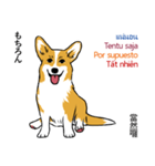 Long Tail Corgi (Multilingual)（個別スタンプ：24）