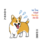 Long Tail Corgi (Multilingual)（個別スタンプ：28）