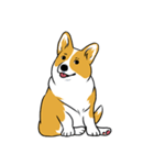 Long Tail Corgi (Multilingual)（個別スタンプ：30）